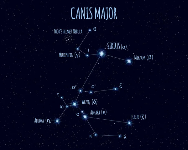 おおいぬ座 大きい犬 の星座 星空に対する基本的な星の名前を持つベクトル図 — ストックベクタ