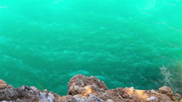 Красивые зеленые воды реки в каньоне Турции — стоковое видео