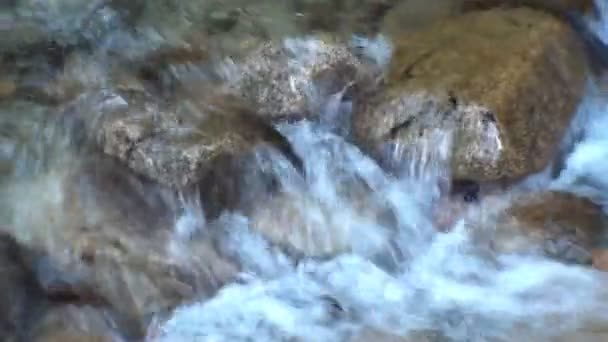 Mountain stream — Stock Video