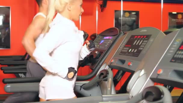 Casal desportivo está se exercitando no centro de fitness — Vídeo de Stock