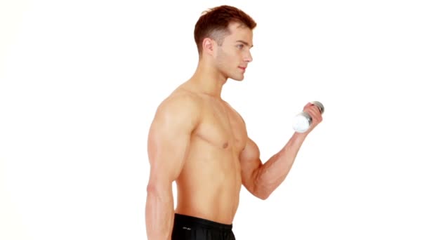 Muscular man exercising with dumbbells on white background — Stock Video