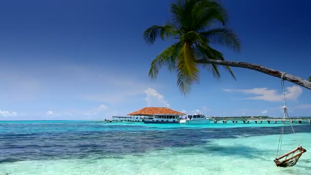 열 대 낙원 몰디브 야자수와 푸른 하늘에 — 비디오