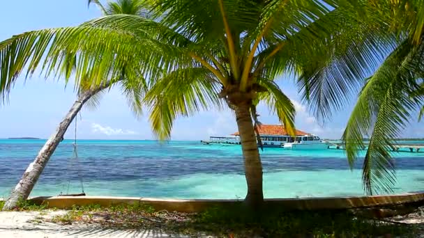 Τροπικός παράδεισος στις Μαλδίβες με φοίνικες και το μπλε του ουρανού — Αρχείο Βίντεο