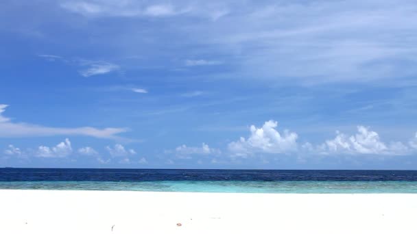 Paraíso tropical en Maldivas con palmeras y cielo azul — Vídeo de stock