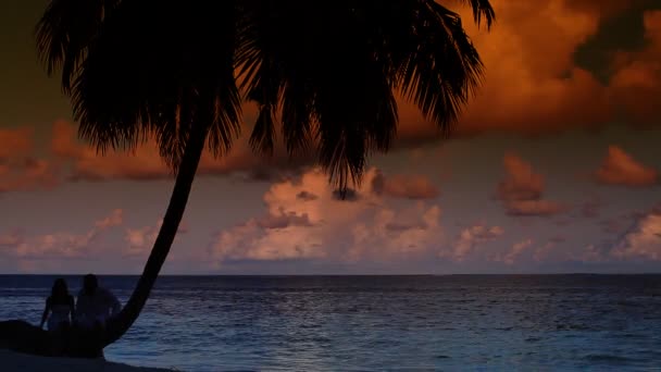 Casal romântico sentado ao lado da palmeira ao pôr do sol — Vídeo de Stock