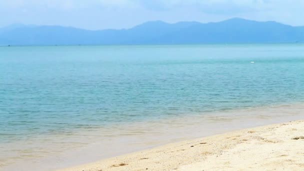 Schattig en sexy vrouw in bikini wandelen op het strand — Stockvideo