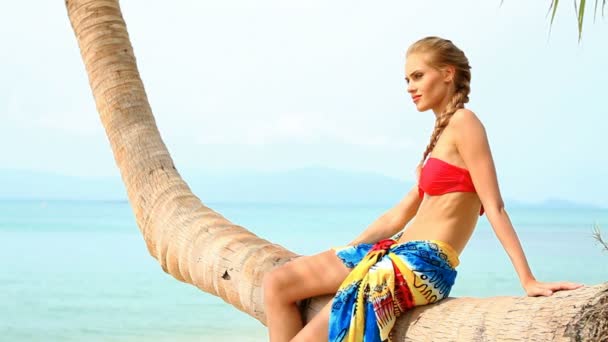 Sexy woman sitting on a palm tree at the beach — Stock Video