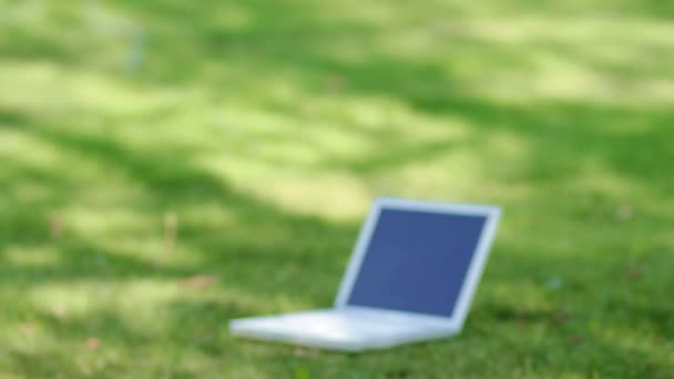 Beautiful business woman relaxing on grass with laptop — Stock Video