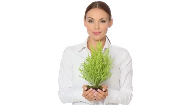 Mulher de negócios jovem bonita está segurando planta cultivada de sementes de árvore — Vídeo de Stock