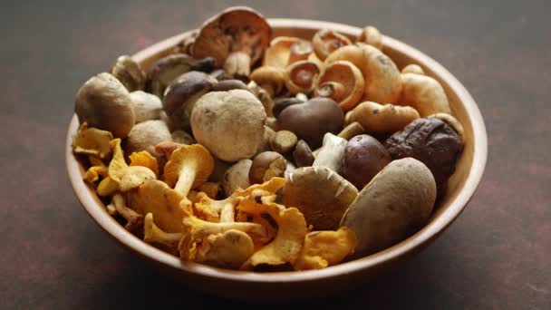 Raw and fresh forest various mushrooms in bowl standing on rusty table. — Stock Video