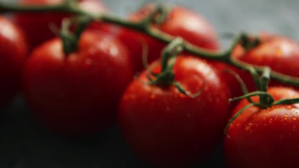 Tomates rojos cereza maduros en rama — Vídeos de Stock