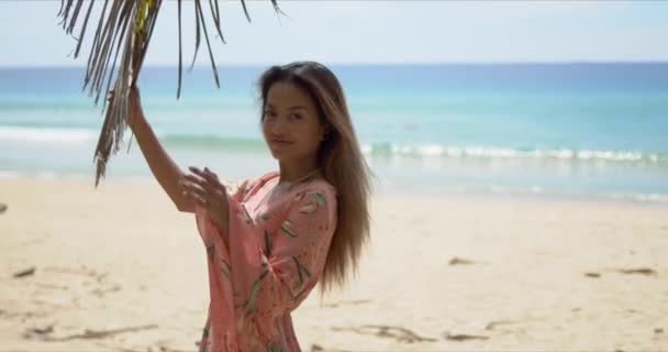 Веселая этническая женщина, стоящая рядом с пальмой на пляже — стоковое видео