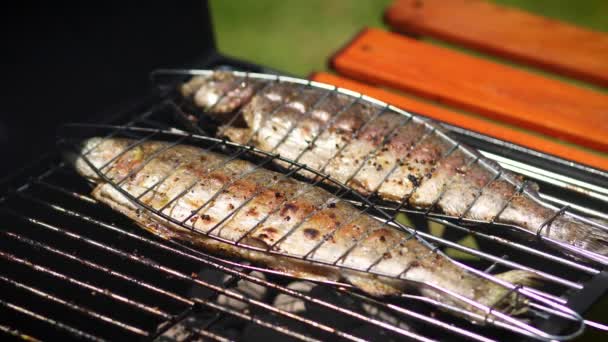Smaczne Całe Ryby Umieszczone Grillu Pstrąg Ziołami Ogniu Aromatyczne Danie — Wideo stockowe
