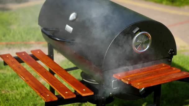 Smokng Barbecue Grill Garden Outdoor Summer Party Preparing — Stock Video