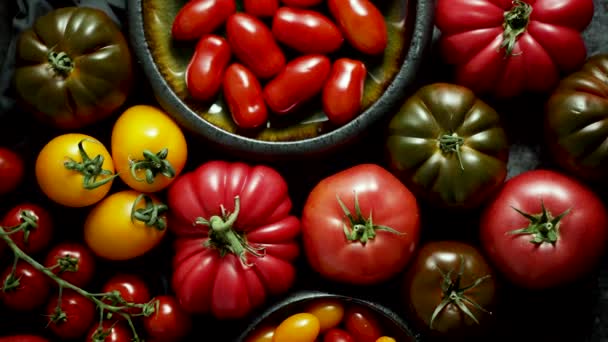 Various Kinds Fresh Tomatoes Placed Dark Rusty Table Top View — Stockvideo