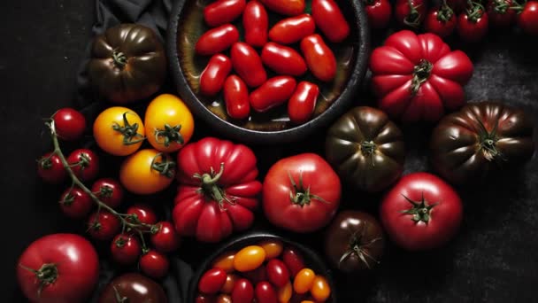 Various Kinds Fresh Tomatoes Placed Dark Rusty Table Top View — Stockvideo