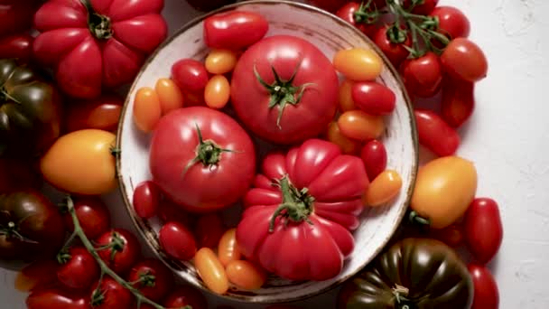 Tomatoes Table Tomatoes Different Varieties Flat Lay Top View — Vídeo de Stock