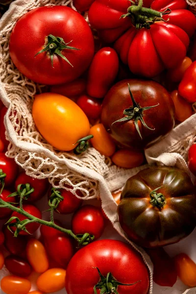 Fresh Raw Colorful Tomatoes Different Sizes Kinds Eco Net Bag — Fotografia de Stock