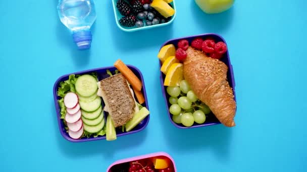 Shot School Lunchboxes Various Healthy Nutritious Meals Blue Background Top — 图库视频影像