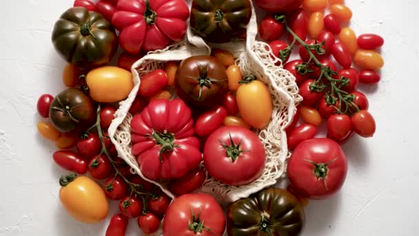 Tomatoes Table Tomatoes Different Varieties Flat Lay Top View — Video