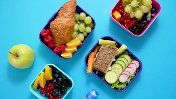 Shot School Lunchboxes Various Healthy Nutritious Meals Blue Background Top — Vídeo de stock