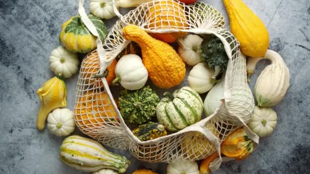 Colorful Pumpkins Mesh Shopping Bag Stone Background Top View Freshly — Wideo stockowe