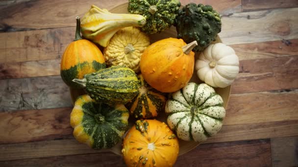 Colored Pumpkins Different Varieties Kinds Placed Wooden Table Flat Lay — Stockvideo