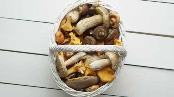 Top View Various Wild Mushrooms Collected Wooden Basket Top View — Vídeo de stock