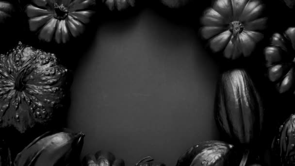 Various Kinds Cute Mini Pumpkins Black Colour Placed Circle Copy — Stock Video
