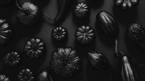 Διαφορετικά Είδη Μικρών Κολοκύθων Βαμμένων Μαύρο Χρώμα Τοποθετημένων Σκούρο Φόντο — Αρχείο Βίντεο