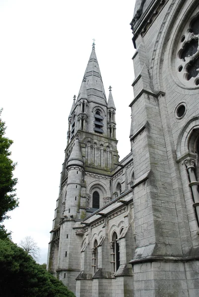 圣鳍巴利大教堂、 软木、 爱尔兰 — 图库照片