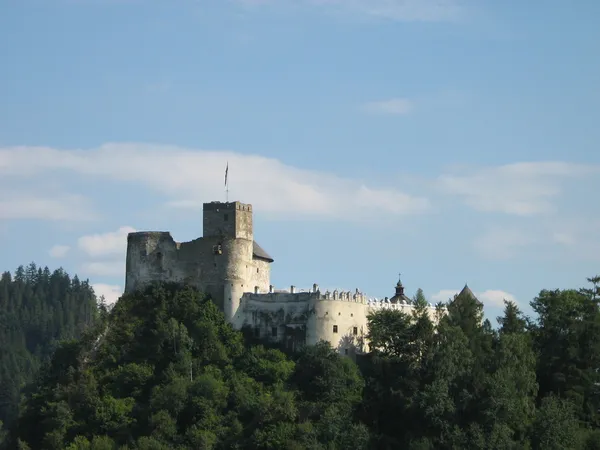 Замок Нєдзица П'єніни, Польща — стокове фото