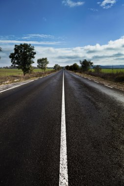 Bulgar yol