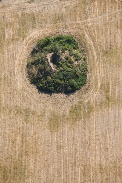 Ancient Thracian mound — Stock Photo, Image