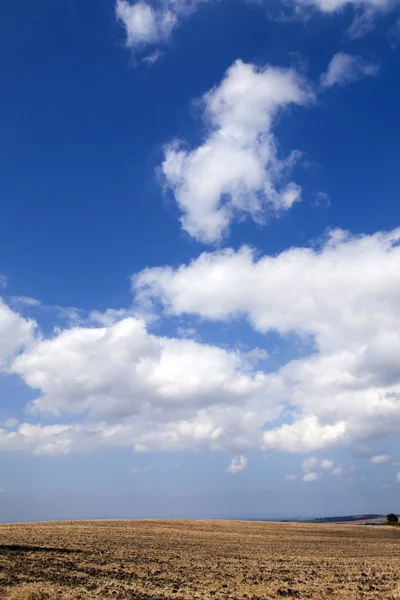 Plogad fält och blå himmel — Stockfoto