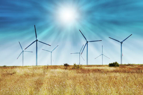 Wind turbines in the field — Stock Photo, Image