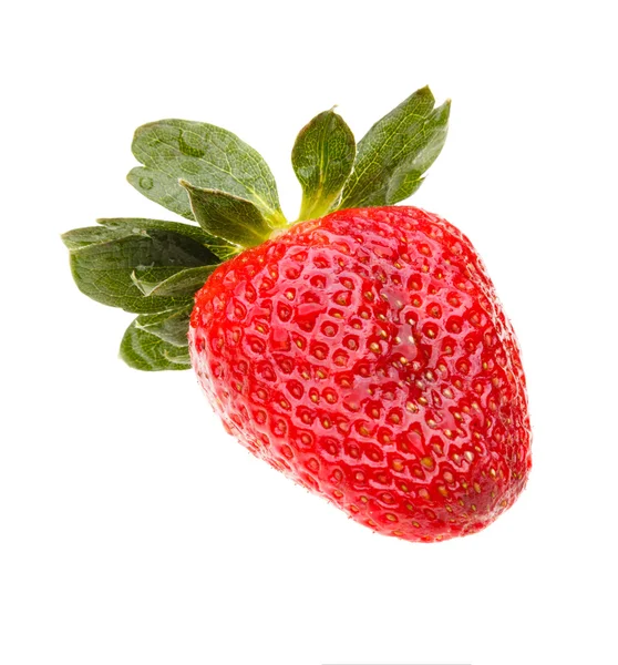 Erdbeeren Beere isoliert auf weißem Hintergrund — Stockfoto