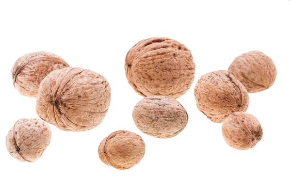 Walnut on white background. Close-up view. — Stock Photo, Image