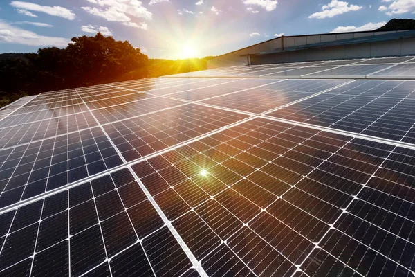 Solar Panels Factory Roof Photovoltaic Solar Panels Absorb Sunlight Source 免版税图库图片
