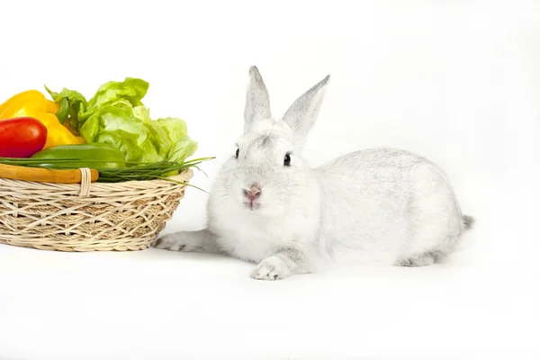 Komik beyaz tavşan sebze ile — Stok fotoğraf
