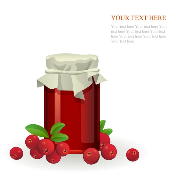 Cranberry jam jar with fresh berry on white — Stock Vector