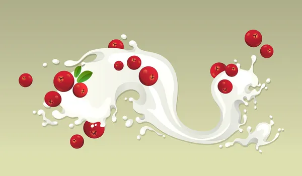 Milk splash with cranberries — Stock Vector