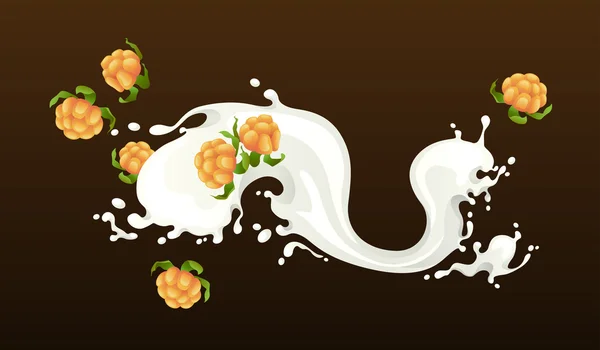 牛奶飞溅着 cloudberries — 图库矢量图片