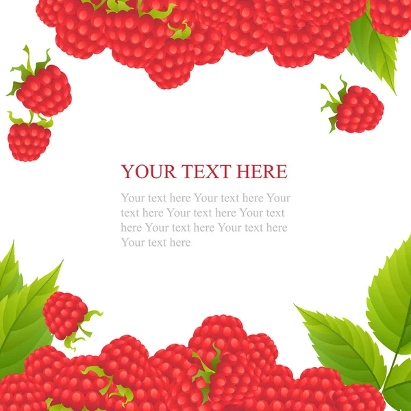 Ripe raspberries with leaves — Stock Vector