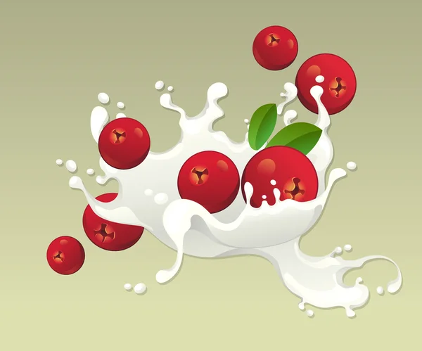 Milk splash with cranberries. — Stock Vector