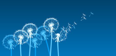 White dandelions in the wind clipart
