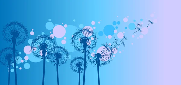 Суцвіття кульбаб на блакитному — стоковий вектор