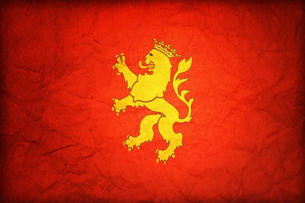 사라고사의 국기 — 스톡 사진