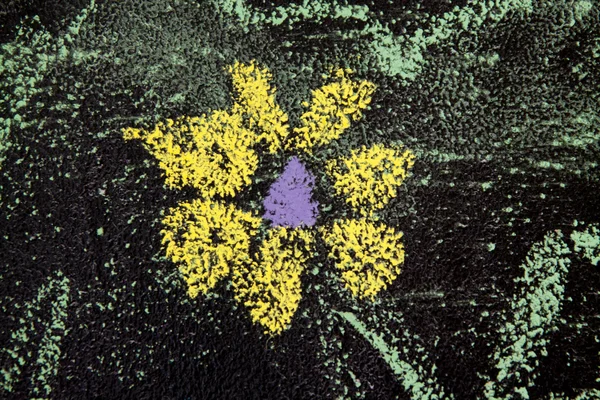 Квіти на дошці — стокове фото