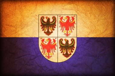 Trentino south tyrol bayrağı